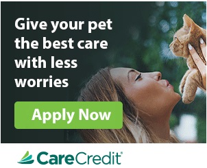 Care Credit Banner